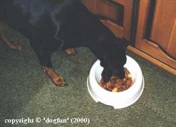 I wish that this bowl was full all the time!