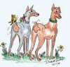 Visit the Dober'Toons! Click here.