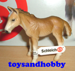 13263 - HOLSTEIN FOAL