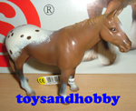 13271 - APPALOOSA STALLION