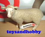 13283 - SHEEP, STANDING