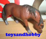 13299 - RIDING PONY, GRAZING