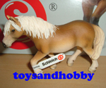 13606 - HAFLINGER MARE