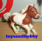 13608 - SHETLAND FOAL