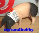 13612 - SWABIAN-HALL PIG