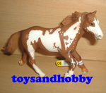 13616 - PINTO STALLION
