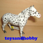 13617 - KNABSTRUPPER MARE