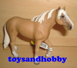 13618 - PALOMINO STALLION