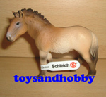 13620 - PRZEWALSKI'S HORSE