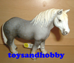 13623 - PERCHERON STALLION