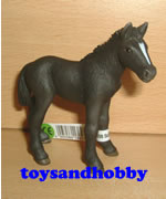 13627 - PERCHERON FOAL