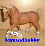13631 - TENNESSEE WALKING HORSE