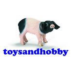 13636 - SWABIAN - HALL PIGLET