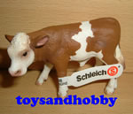 13642 - SIMMENTAL CALF