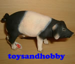 13643 - SWABIAN-HALL BOAR