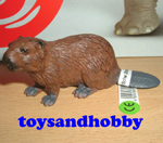 14245 - BEAVER