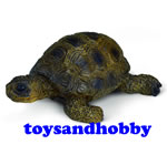 14404 - TORTOISE