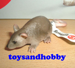 14405 - RAT