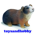 14417 - GUINEA PIG