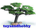 30654 - UMBRELLA ACACIA