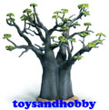 30655 - AFRICAN BAOBAB