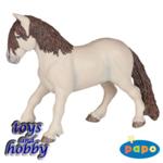 38817 - The fairy pony