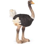 50073 - Ostrich