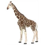 50096 - Giraffe
