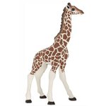 50100 - Giraffe Calf
