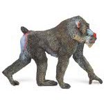 50121 - Mandrill