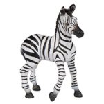 50123 - Zebra Foal