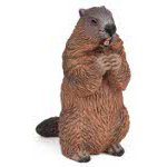 50128 - Marmot