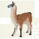 50130 - Lama