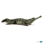 50154 - Gharial