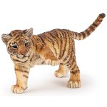 50184 - Tiger with raised paw