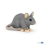 50205 - House mouse