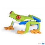 50210 - Red eyed tree frog