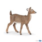 50218 - White tailed doe