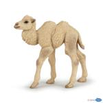 50221 - Camel calf