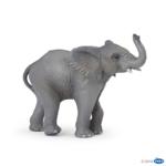 50225 - Young elephant
