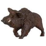 53001 - Wild Boar