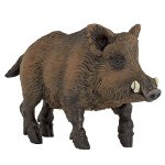 53011 - Wild boar