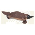 56011 - Platypus