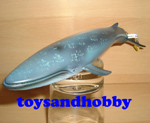14552 - BLUE WHALE