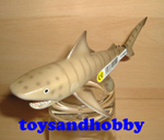 14555 - TIGER SHARK