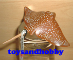 14557 - SPOTTED EAGLE RAY