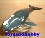 14558 - RIGHT WHALE