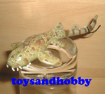 14559 - SPOTTED WOBBEGONG