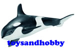 16091 - KILLER WHALE SHARK