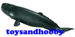 16095 - SPERM WHALE CALF